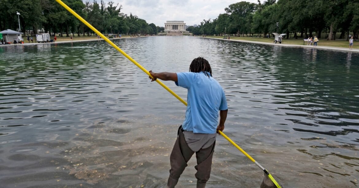 6 people arrested in connection with the alleged vandalism of the Reflecting Pool, Trump says