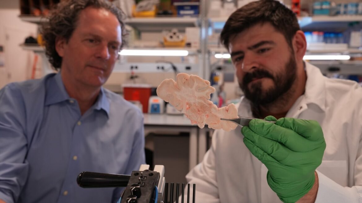 A science powerhouse bets on genetic therapy to beat brain disorders : NPR