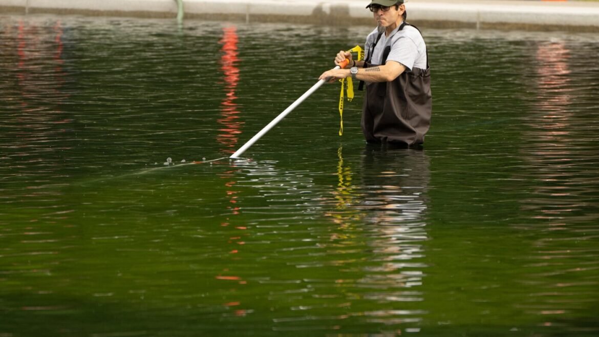 Algae doesn't care about our party lines : NPR