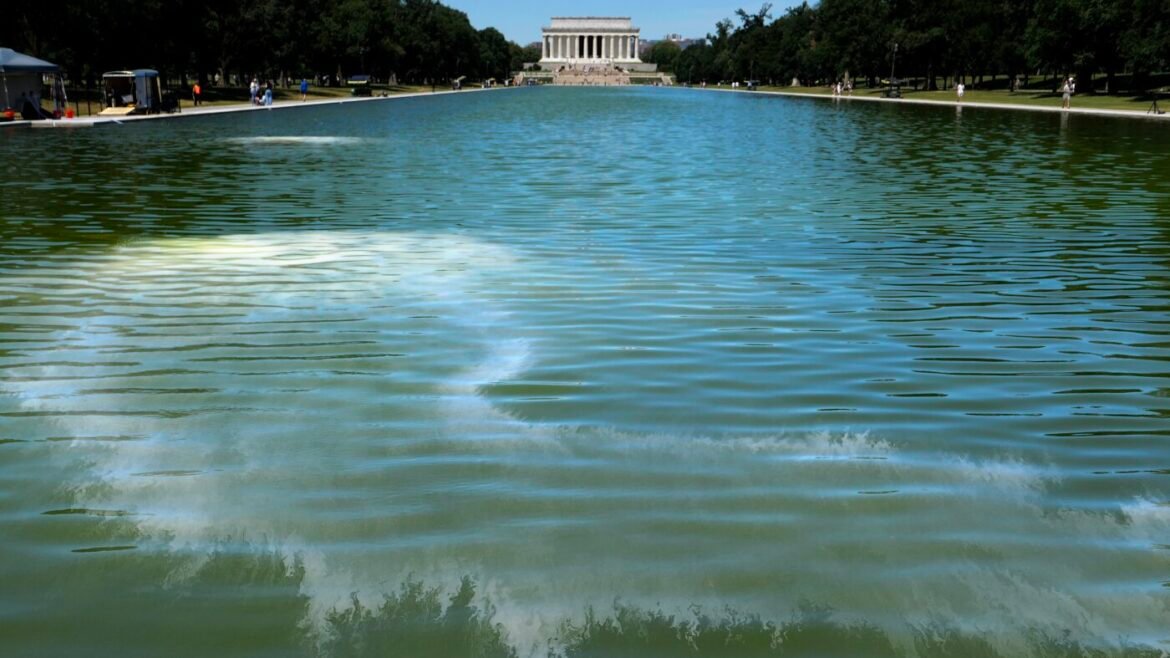 Algae turns reflecting pool green after repainting. Here's why : NPR