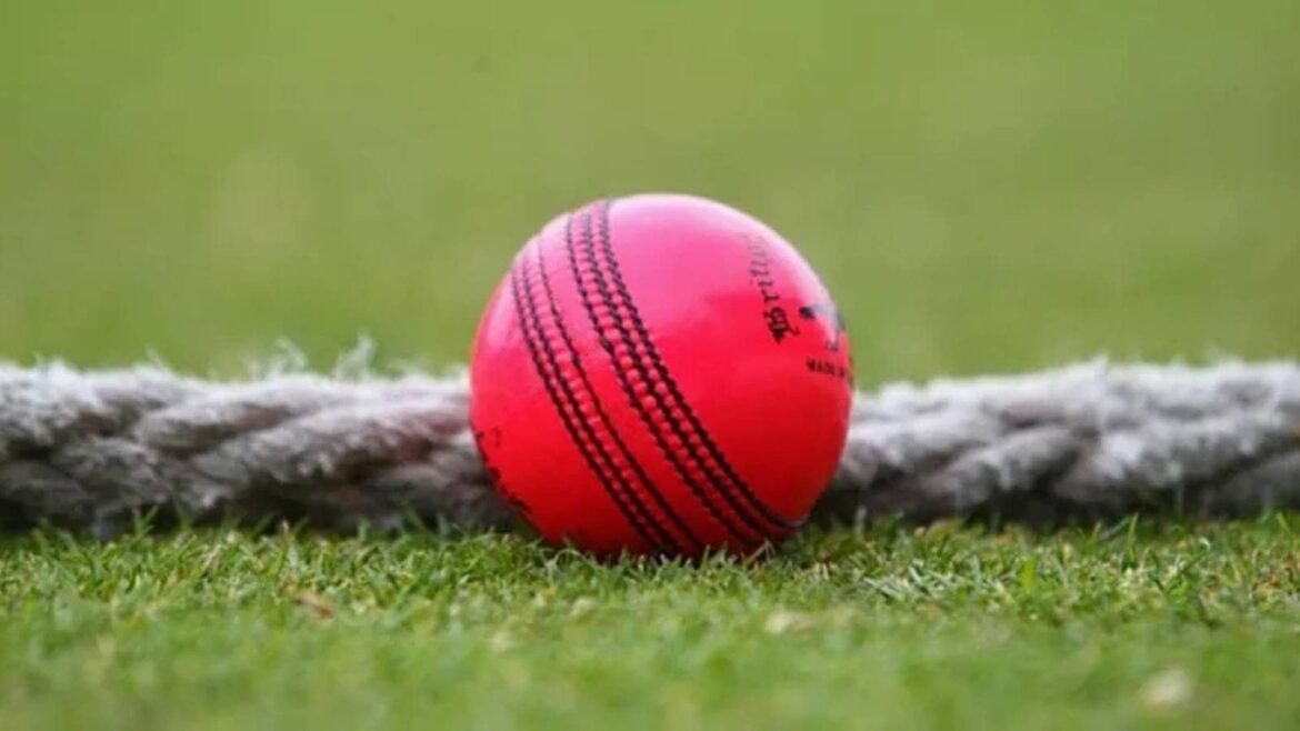 Pink ball