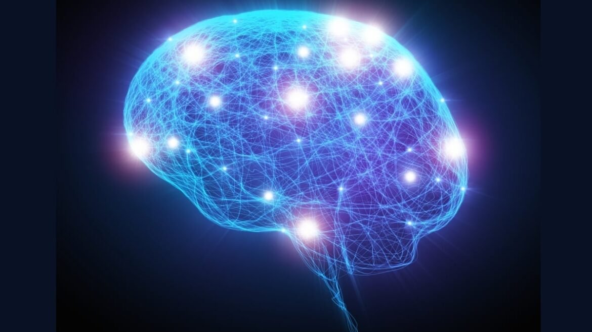 Consciousness Could Exist in Bodies Nothing Like Ours, Researchers Say : ScienceAlert