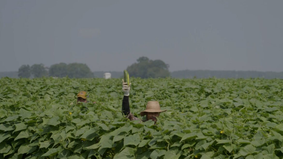 Cost of fuel, fertilizer leaves NJ farmers facing 'financial strain'