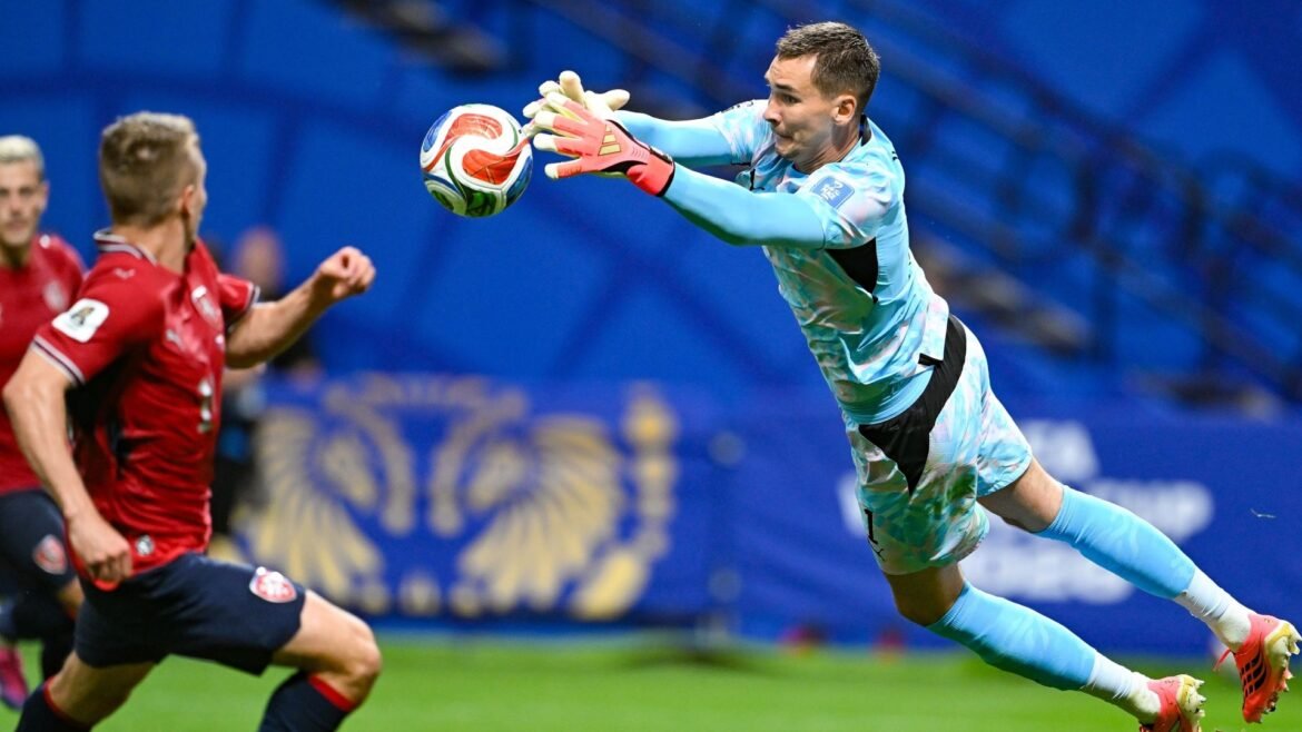 Czech Rep vs S. Africa - Live match updates