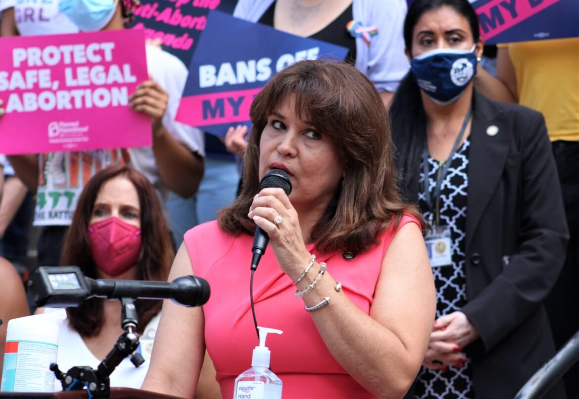 Democrats get into the Chief Financial Officer race • Florida Phoenix