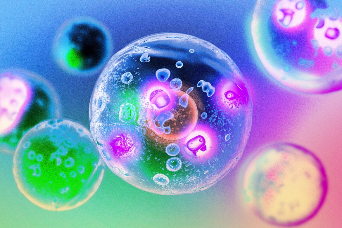 Enzymes that assemble into droplets can speed up cellular reactions | MIT News