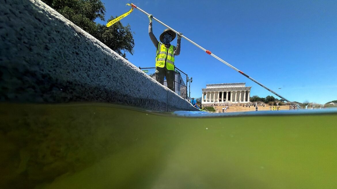 Everyone Wants to Touch the Blue Coating in the Reflecting Pool