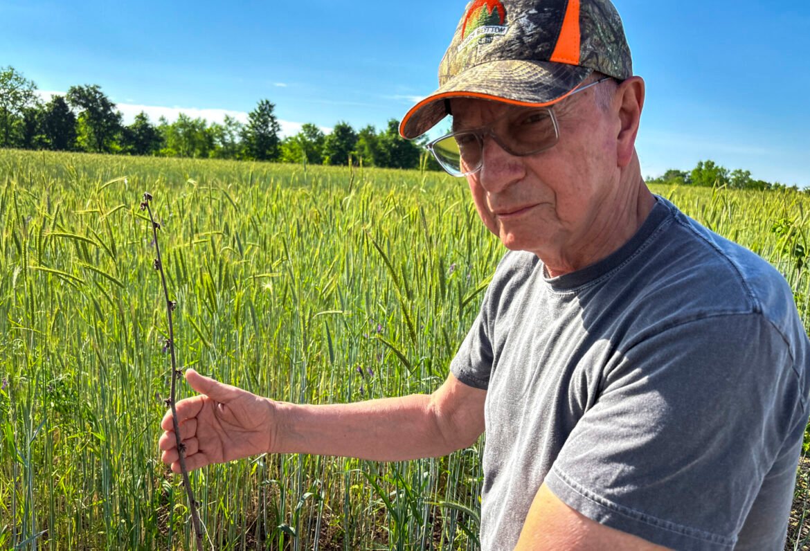 Feds declare disaster for April freeze that killed NJ farms' crops • New Jersey Monitor