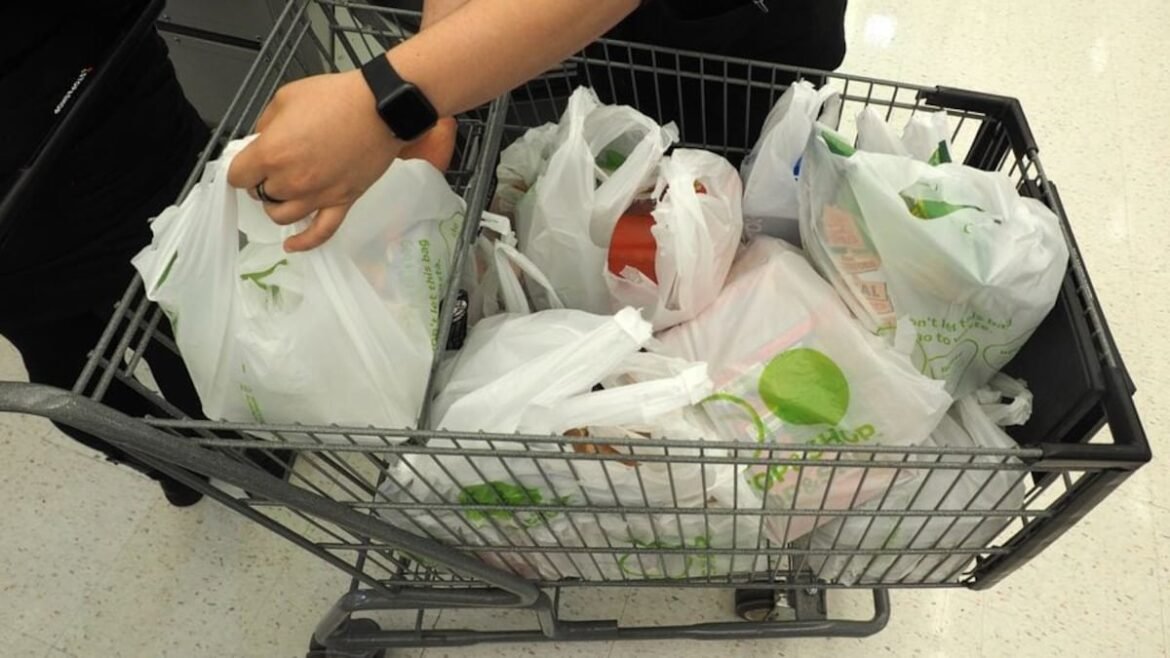 Florida one of 17 states suing to block California single-use plastics law