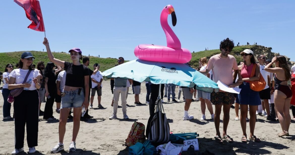 How the Flamingo Became a Potent Protest Symbol – Mother Jones