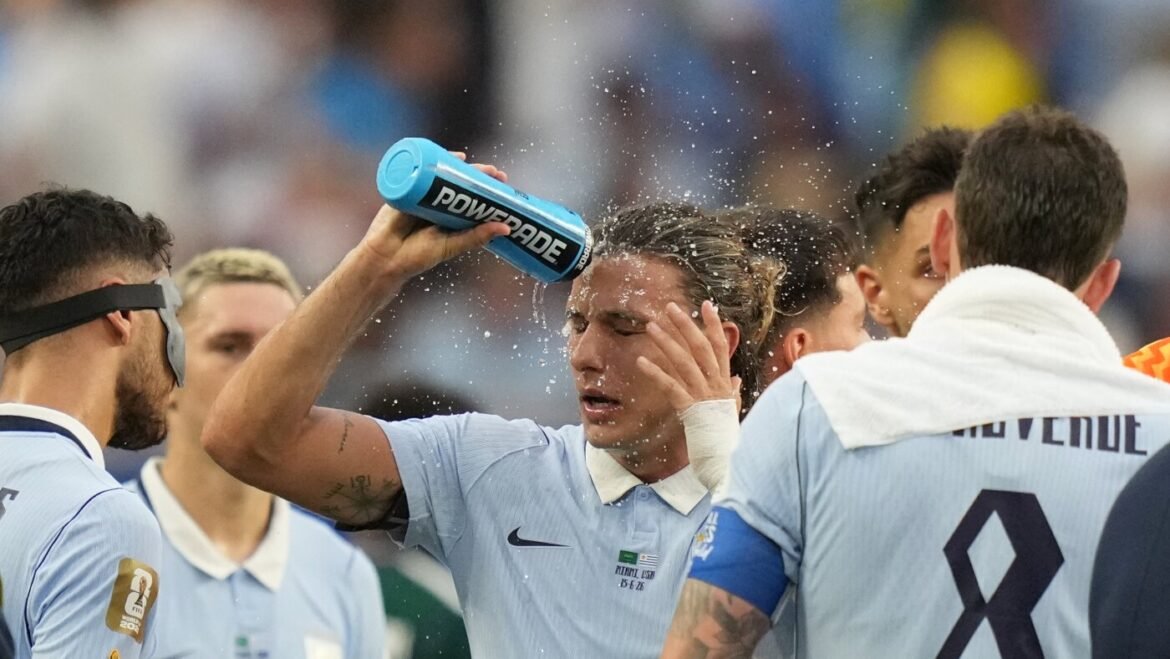 How to stay cool at hot 2026 World Cup events : NPR
