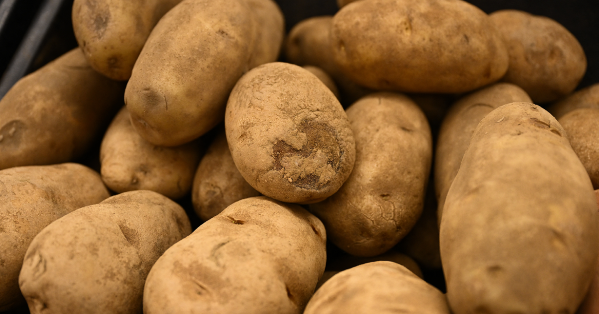In Bizarre Attack on Solar Power, Lawmakers Spread Myths About Spud Farms – Mother Jones