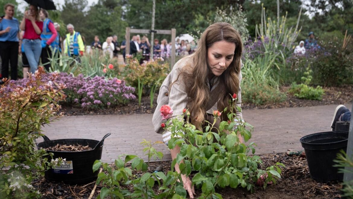 Kate Middleton’s New Challenge: Climbing Three Mountains to Support Cancer Research