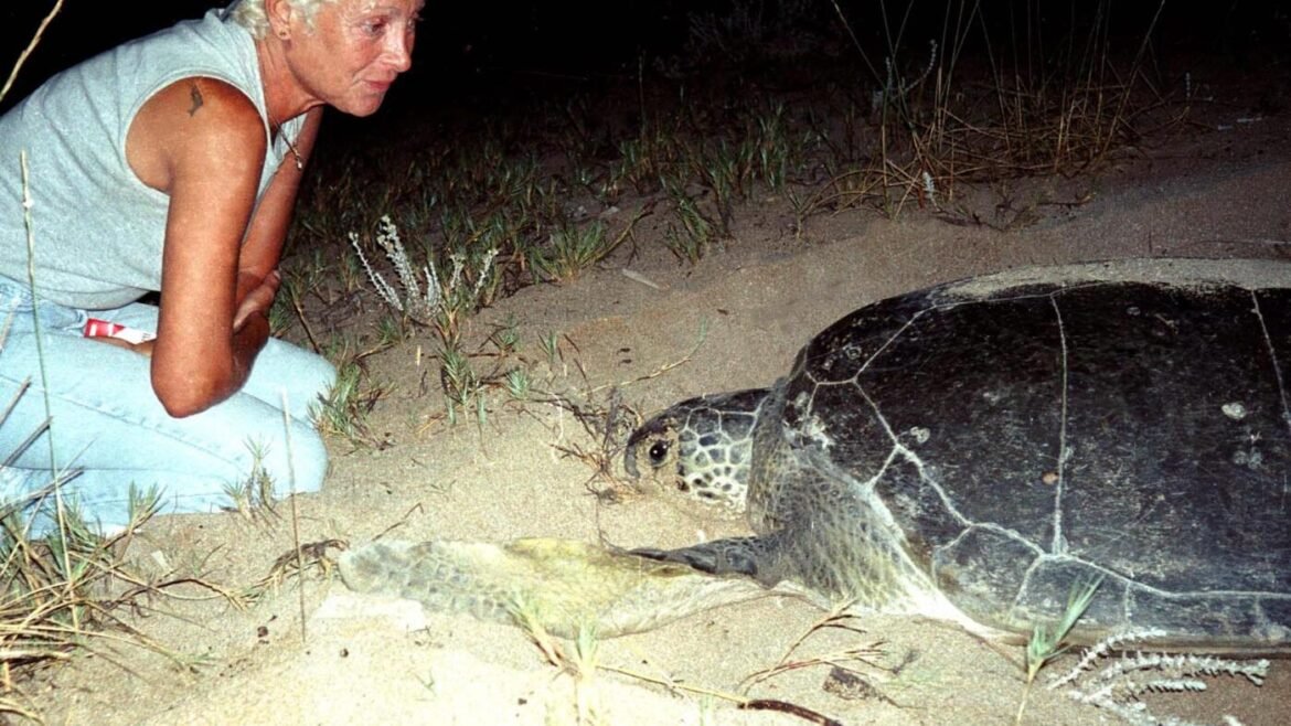 Lebanese conservationist Mona Khalil dies after Israeli airstrike on her home : NPR