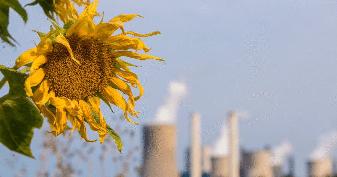 Nature No Longer Smells So Natural—and That’s Our Fault – Mother Jones