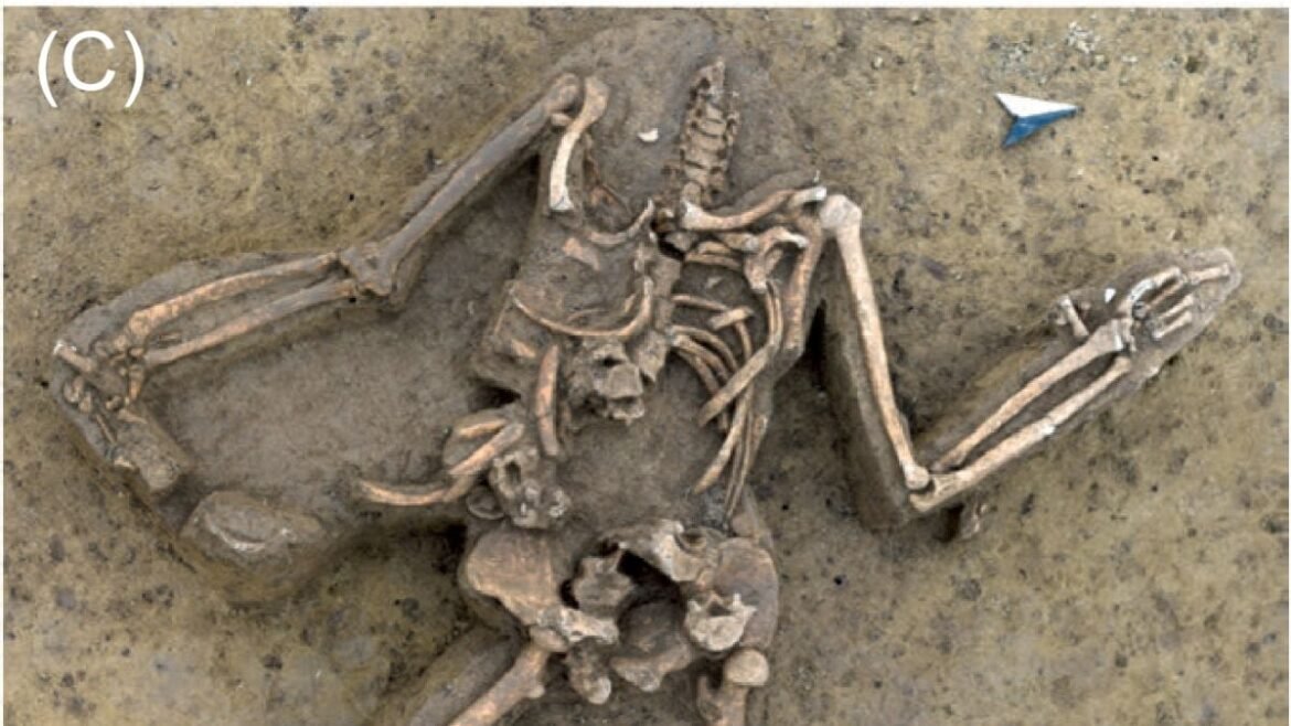 Nearly 80 Headless Human Skeletons Discovered At A Spooky Stone Age Site : ScienceAlert