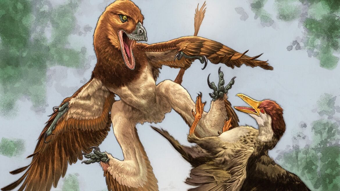 An illustration of a bird-like dinosaur attacking a bird.