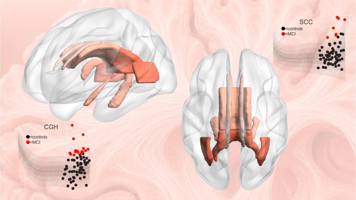 New reference map of the brain may transform how scientists detect disease