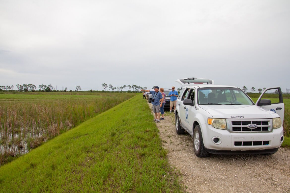 Now hitting deadline, Florida flunks Everglades pollution cleanup • Florida Phoenix