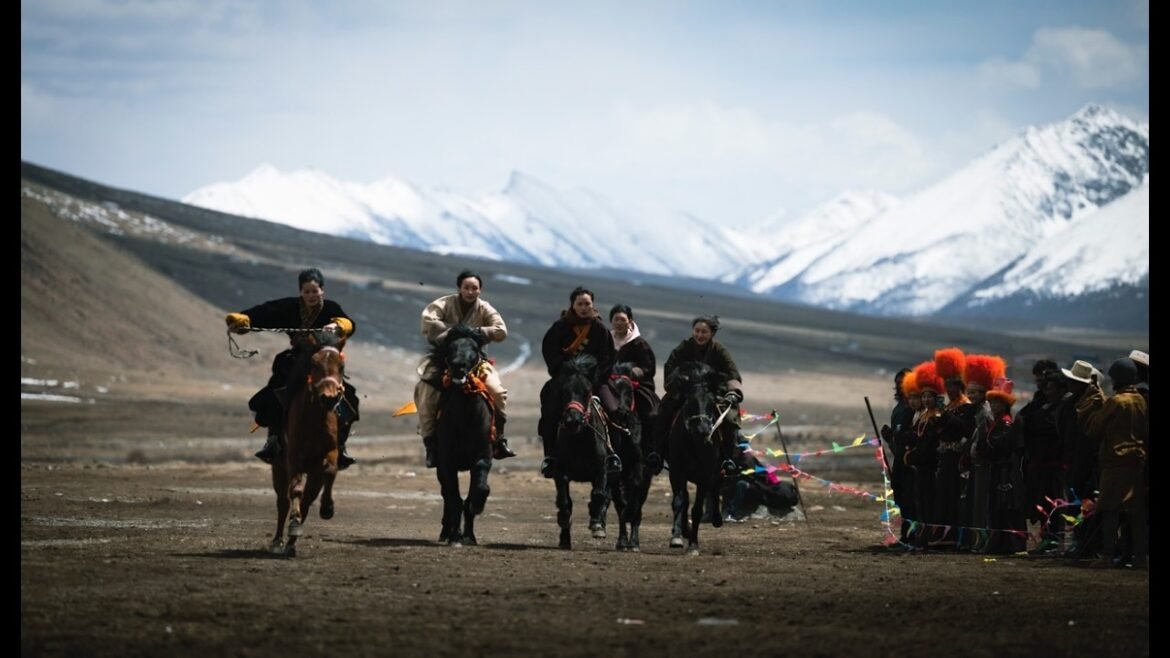 Released (2026) by Khabu Film Review