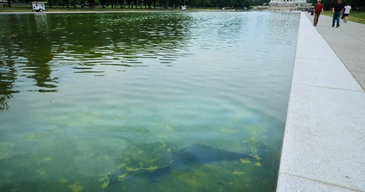 Rips appear in Reflecting Pool's new sealant, chosen by Trump, after algae turn water green