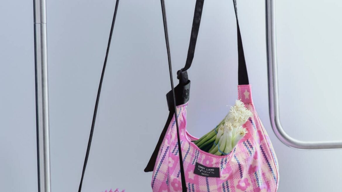 Sandy Liang's Second Collab With Baggu Is Here & It's Better Than the First