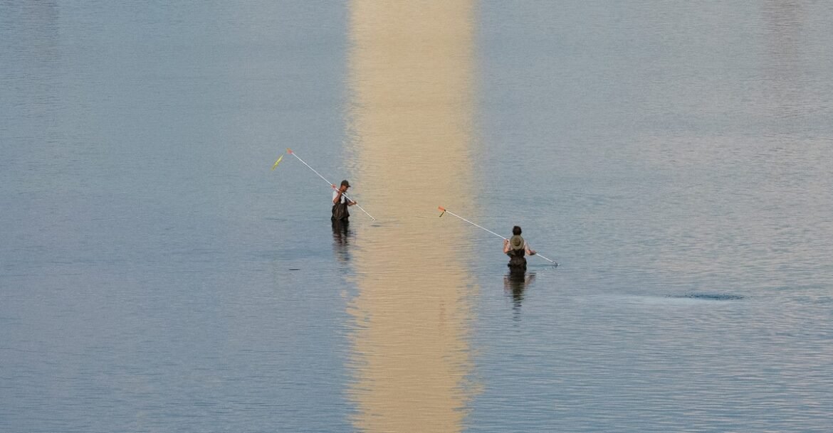 Science Has a Name for What’s Plaguing the Reflecting Pool
