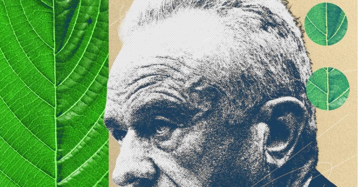 The Kratom Civil War Is Heating Up, and MAHA Has Picked a Side
