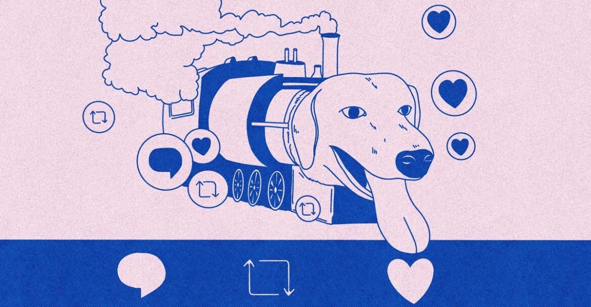 The Strange, Explicable Appeal of Train Dog