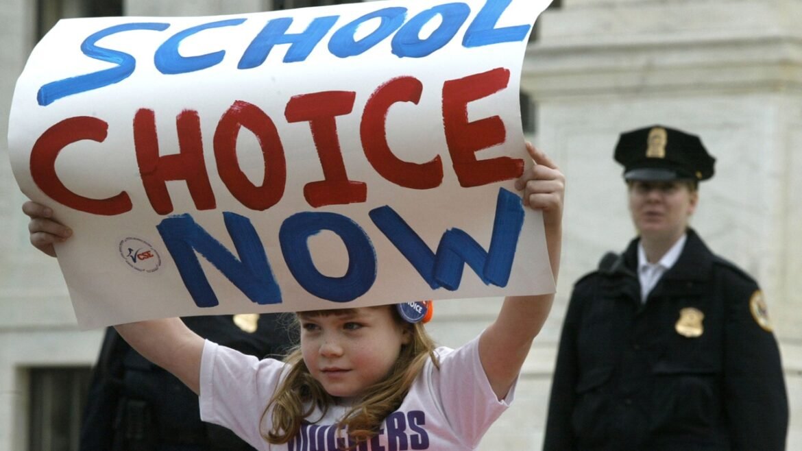 Girl holding a sign that says "school choice now"