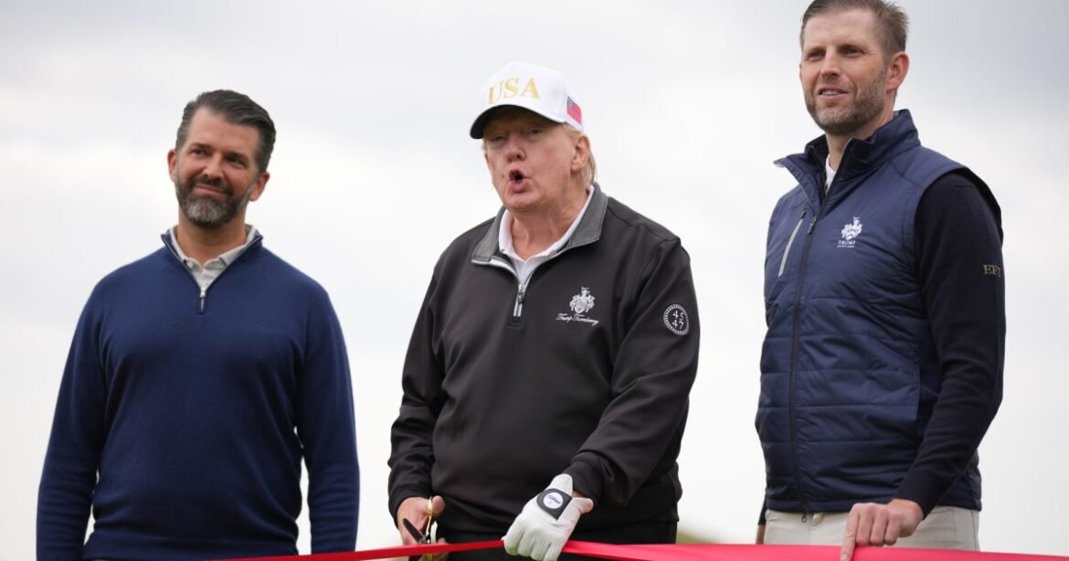 Trump’s Sons Stand To Profit From The Critical Minerals Arms Race – Mother Jones