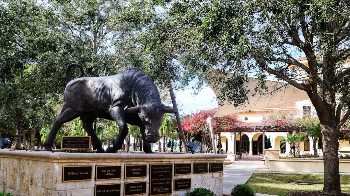 USF’s Sarasota-Manatee campus is set to transfer to New College. Now what?