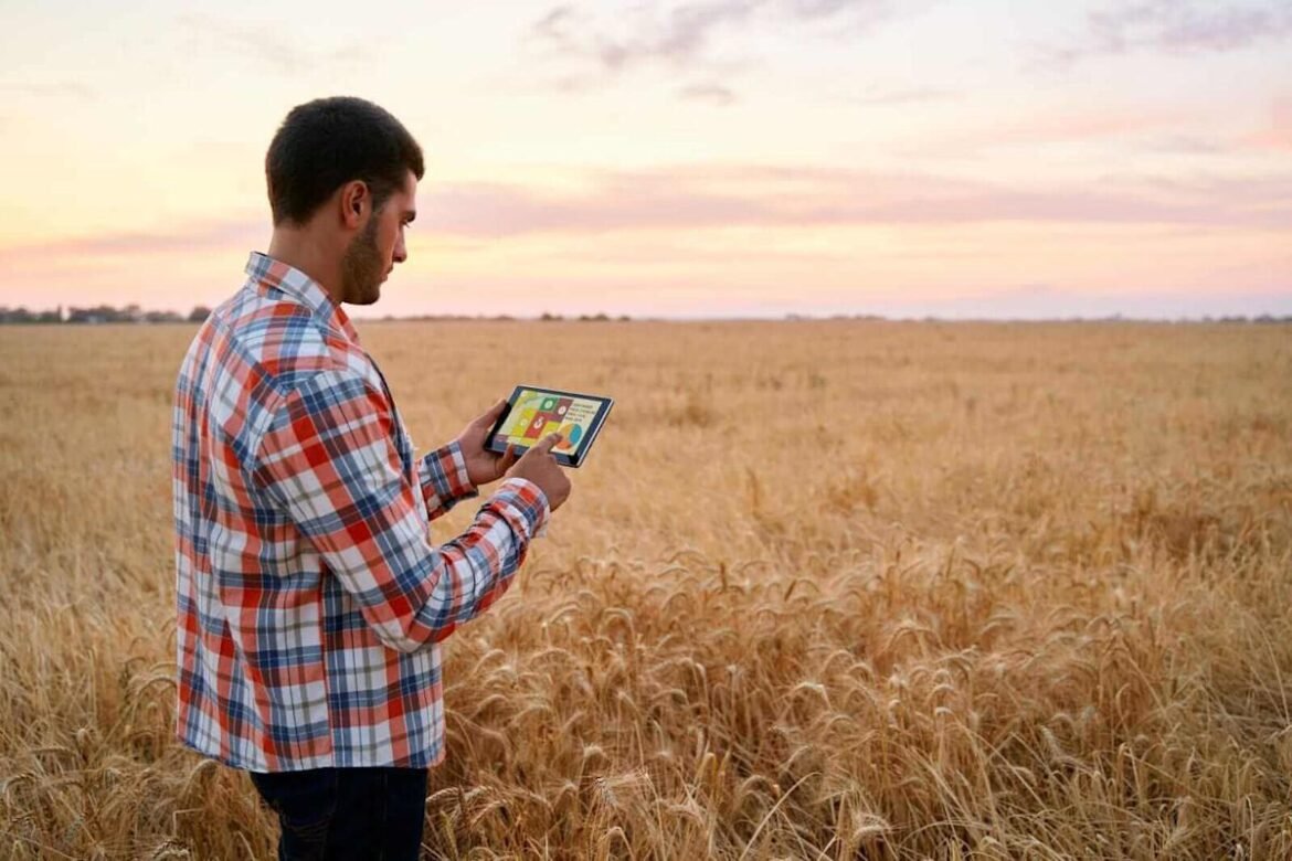 Wheat Falling Back on Thursday