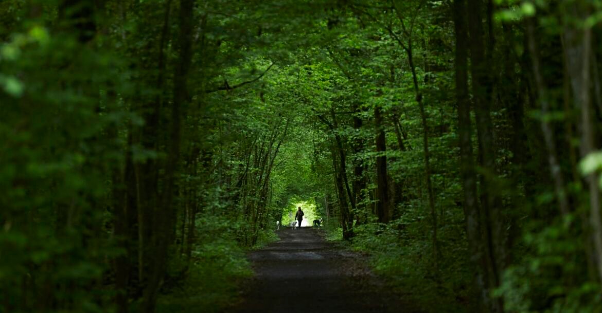 Why Adventure Matters - The Atlantic
