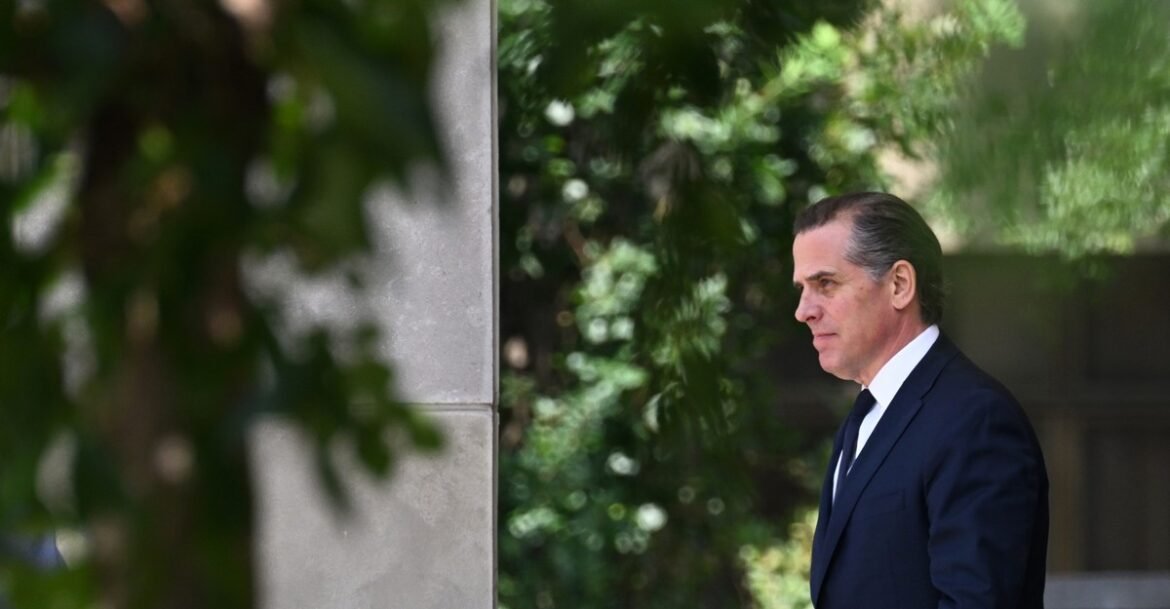 Why the Public Is Gravitating Toward the Hunter Biden Approach