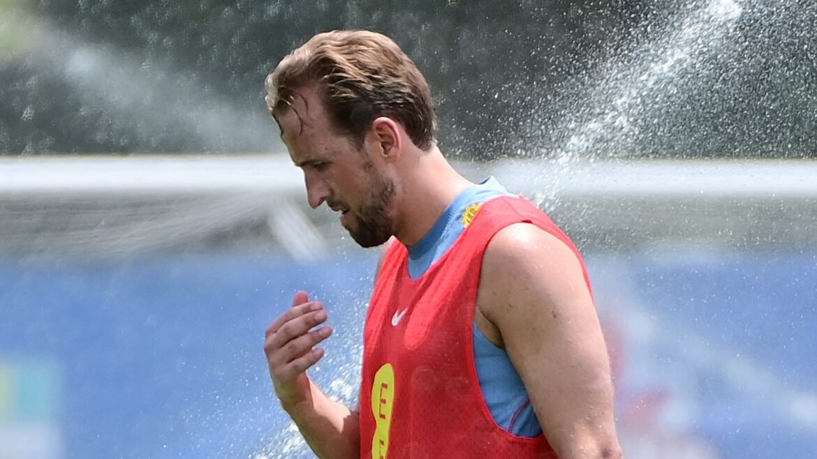 Harry Kane could be rested by England during the World Cup
