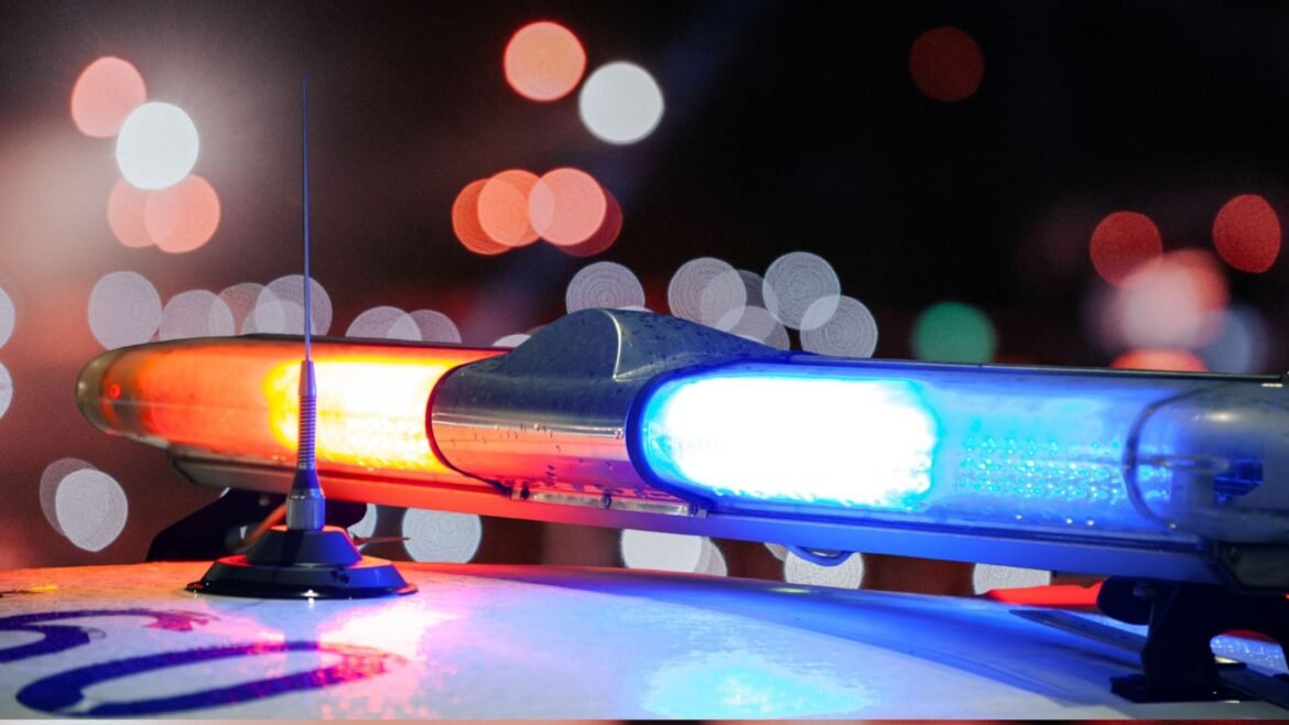 Wrong-way driver who fled crash and attacked police dog is now facing more charges, cops say