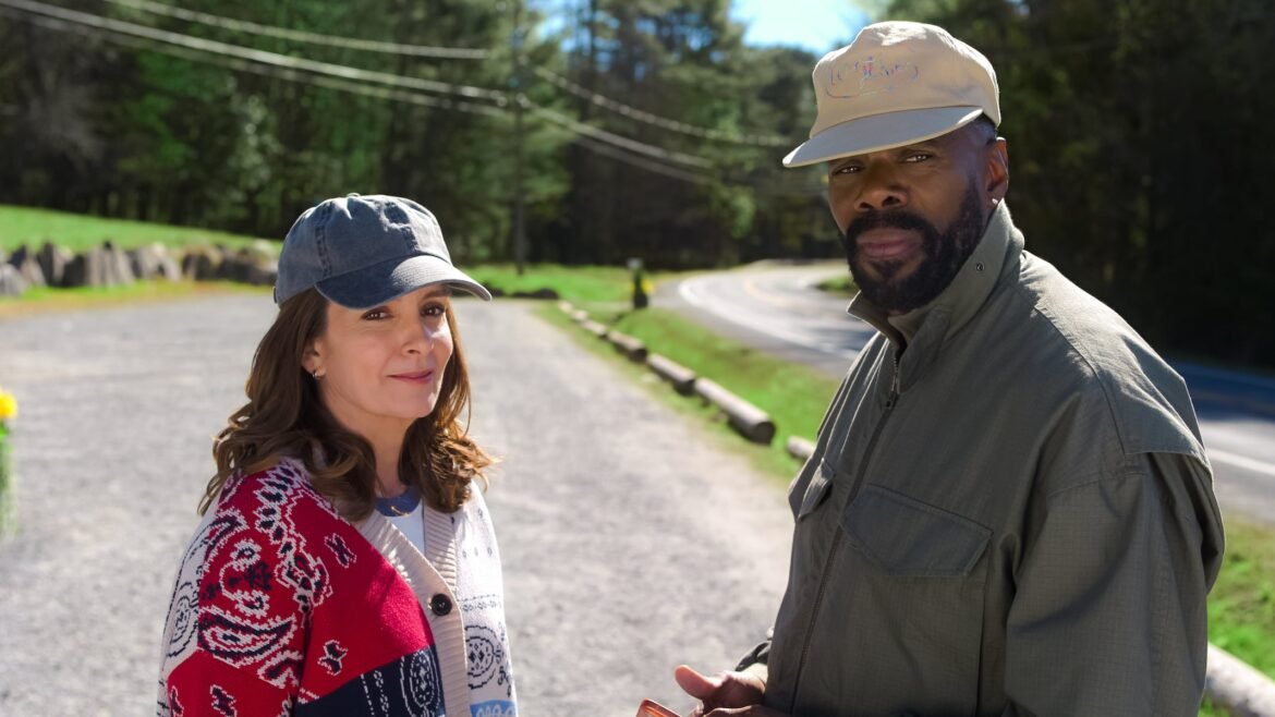 6 recently renewed TV shows to binge watch this weekend
