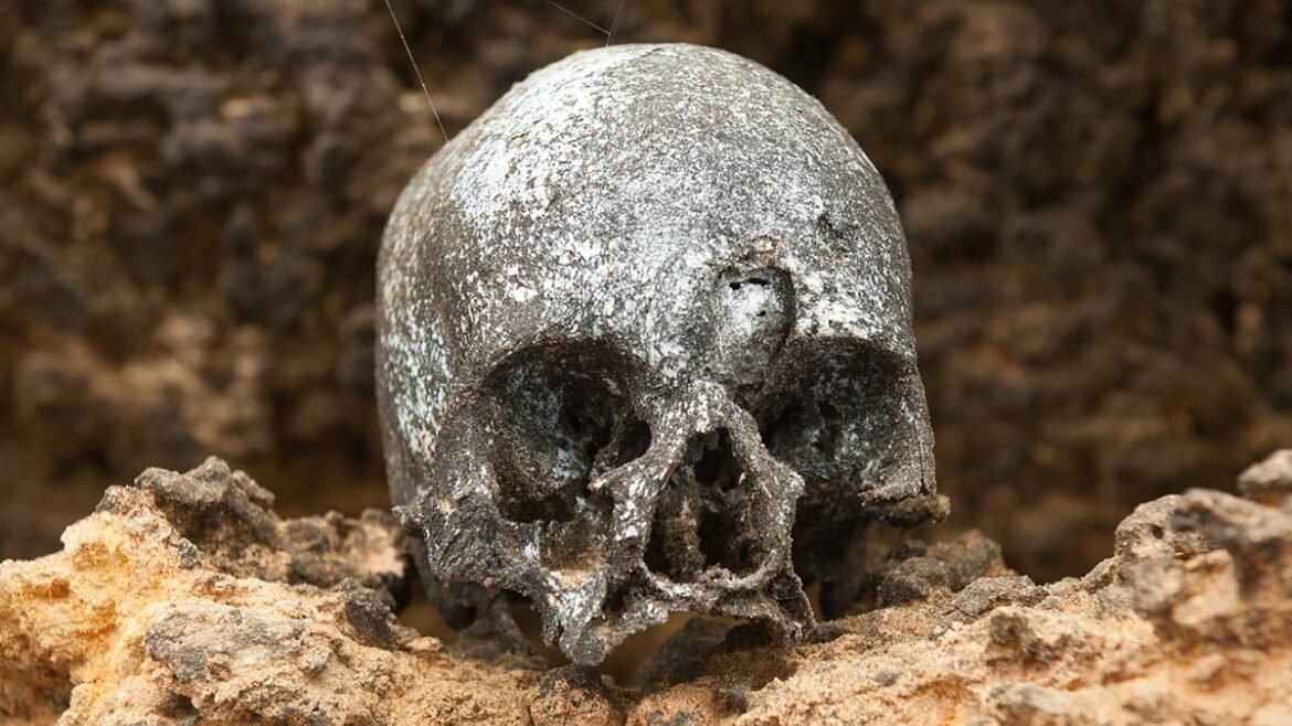 Ancient DNA From Chilean Mummies Reveals Who Brought Smallpox to The Americas : ScienceAlert