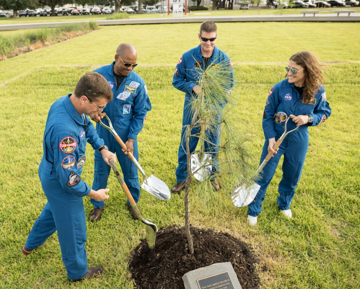 The members of the Artemis II mission hold shovels as they stand around a young pine tree. From left to right, they are Reid Wiseman, Victor Glover, Jeremy Hansen, and Christina Koch. They are all looking down at the tree, which is surrounded by mulch. There is a plaque at the front of the mound of dirt. The grass the crew are standing on extends behind them for several yards.