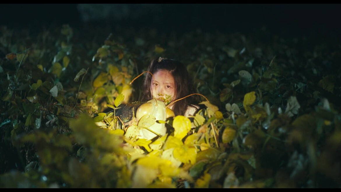 Brunch with a Depressed Zombie (2026) by Kim Eun-young Film Review