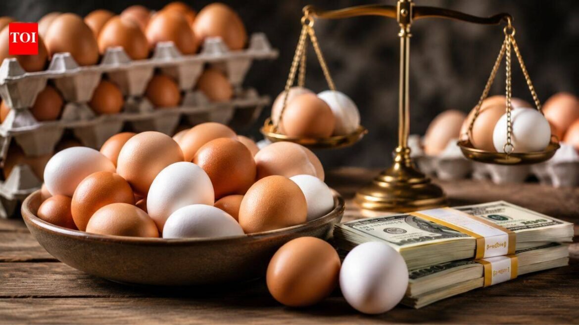 Egg companies made $1.22 billion as Americans paid over $6 a dozen; now they'll donate 53 million eggs in DOJ settlement | World News