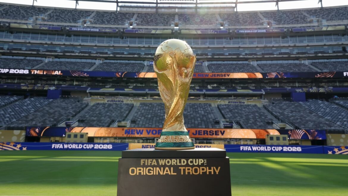 FIFA World Cup subsidiary tests limits of private equity in sports