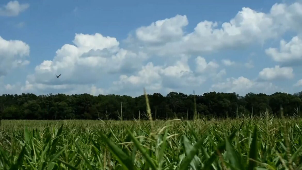 Food parasite fear drives customers to trusted New Jersey farm