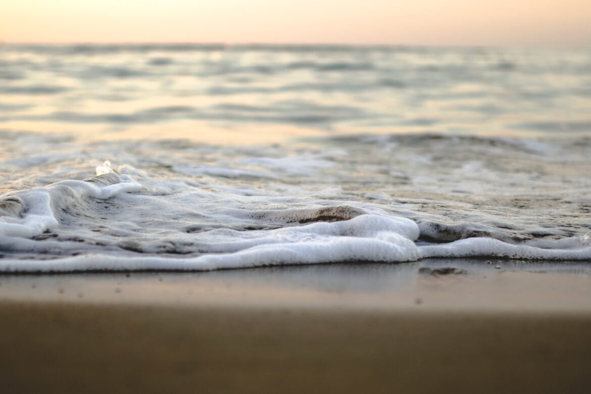 How an influx of salt may affect microbial ecosystems | MIT News