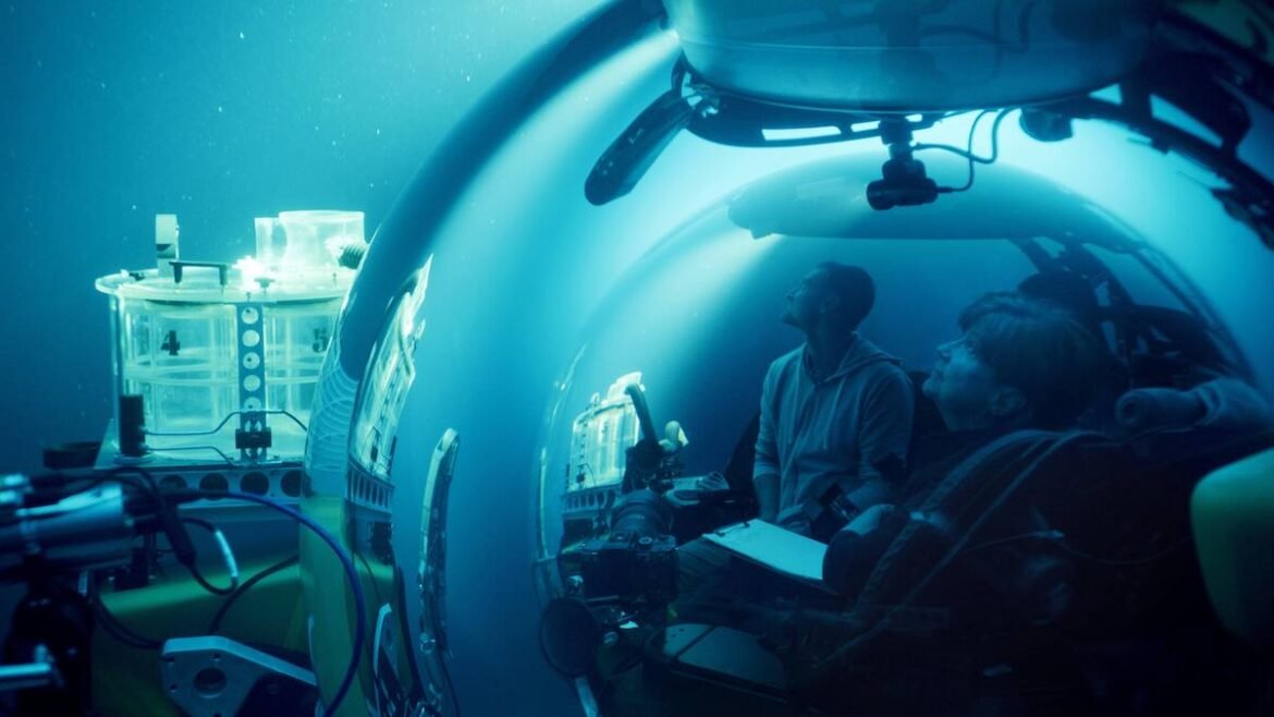 In Life Illuminated, a Marine Biologist Sees Something No One Else Has Ever Seen
