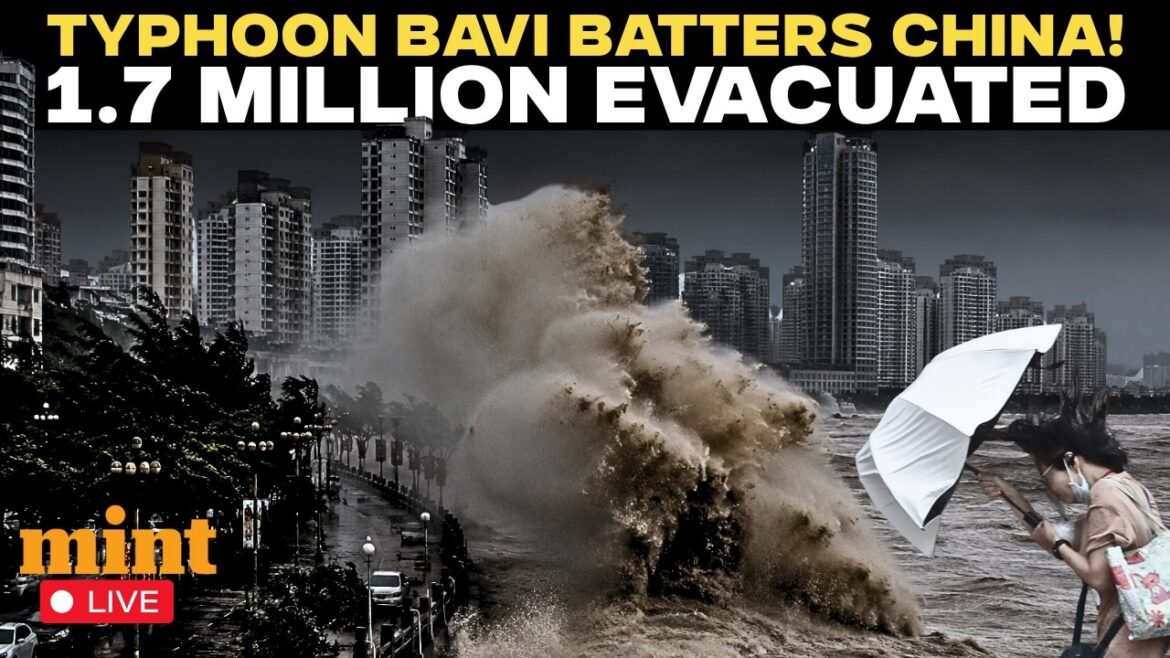 LIVE | Typhoon Bavi Slams China: Over 1.7 Million Evacuated as Powerful Storm Makes Landfall