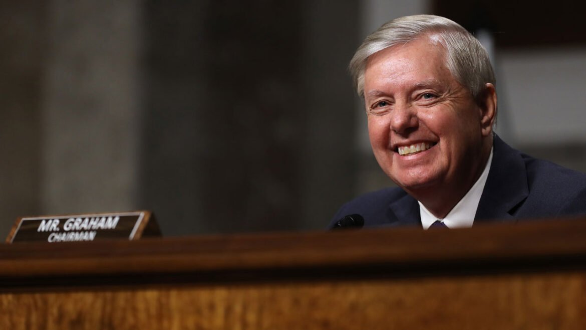 A smiling Lindsey Graham sits in a Senate hearing.