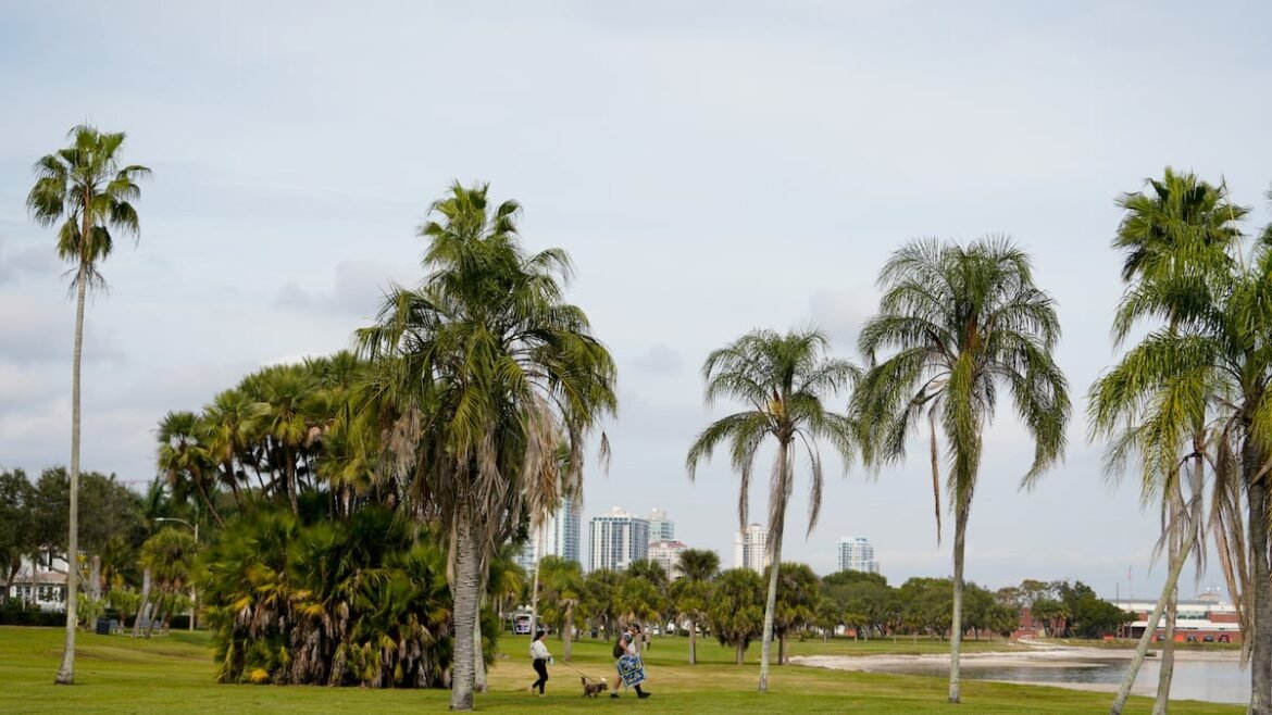 Paddleboarder, 31, found dead in water at St. Pete’s Lassing Park
