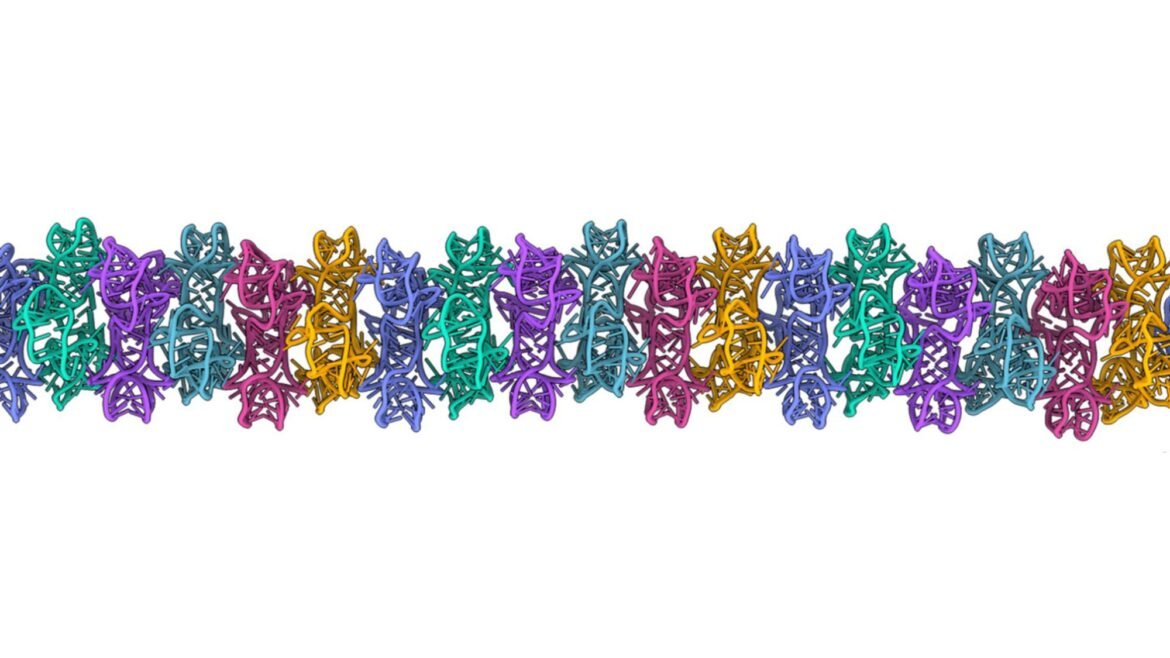 RNA can form large 3D structures, suggesting a new role for the molecule in the origin of life on Earth